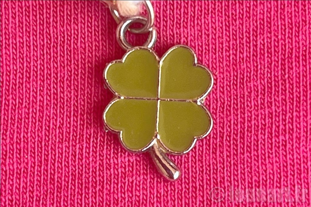Charms Trèfle de vie