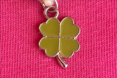 Charms Trèfle de vie